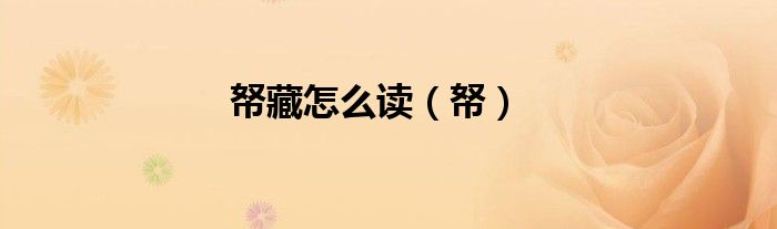 帑藏怎么讀（帑）