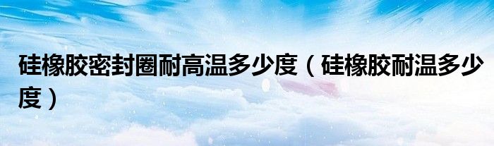 硅橡膠密封圈耐高溫多少度（硅橡膠耐溫多少度）