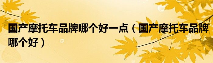 國產(chǎn)摩托車品牌哪個好一點(diǎn)（國產(chǎn)摩托車品牌哪個好）