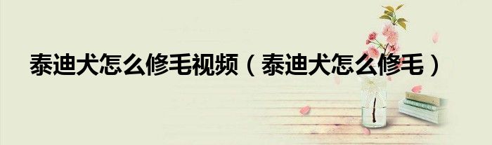 泰迪犬怎么修毛視頻（泰迪犬怎么修毛）