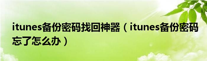 itunes備份密碼找回神器（itunes備份密碼忘了怎么辦）