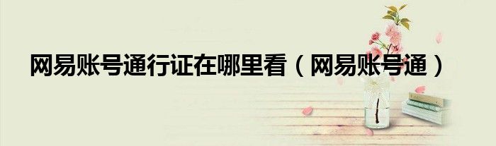 網(wǎng)易賬號(hào)通行證在哪里看（網(wǎng)易賬號(hào)通）
