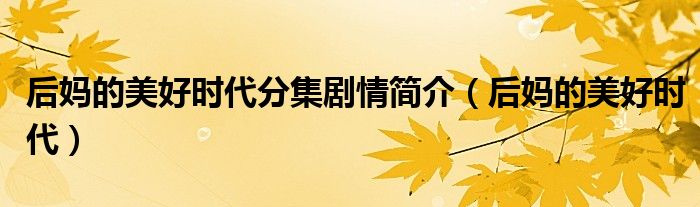 后媽的美好時(shí)代分集劇情簡介（后媽的美好時(shí)代）