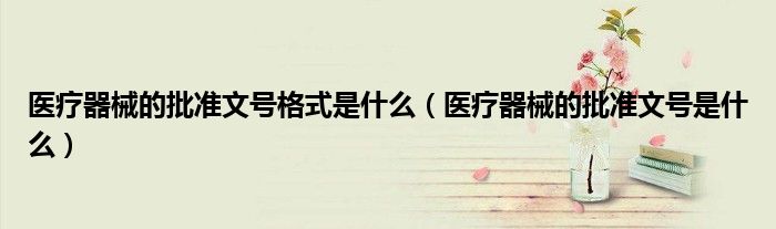 醫(yī)療器械的批準(zhǔn)文號格式是什么（醫(yī)療器械的批準(zhǔn)文號是什么）