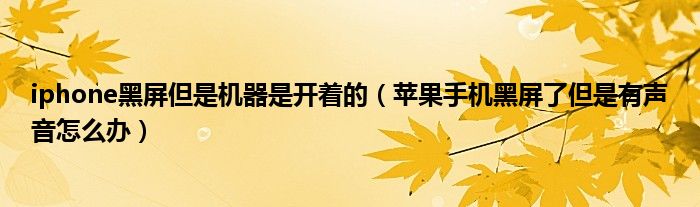 iphone黑屏但是機器是開著的（蘋果手機黑屏了但是有聲音怎么辦）