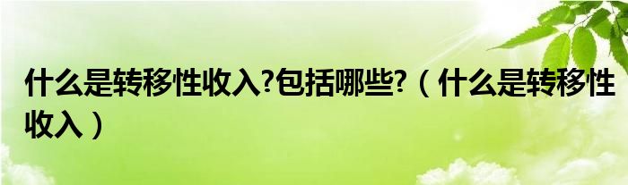 什么是轉(zhuǎn)移性收入?包括哪些?（什么是轉(zhuǎn)移性收入）