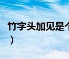 竹字頭加見是個(gè)什么字（竹字頭加見是什么字）