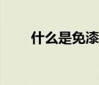 什么是免漆板柜體（什么是免漆板）