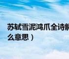 蘇軾雪泥鴻爪全詩(shī)解讀（人生到處知何似應(yīng)似飛鴻踏雪泥什么意思）