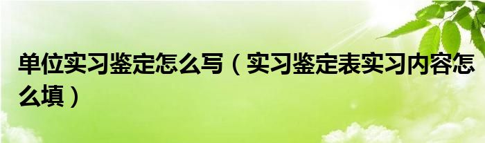 單位實(shí)習(xí)鑒定怎么寫(xiě)（實(shí)習(xí)鑒定表實(shí)習(xí)內(nèi)容怎么填）