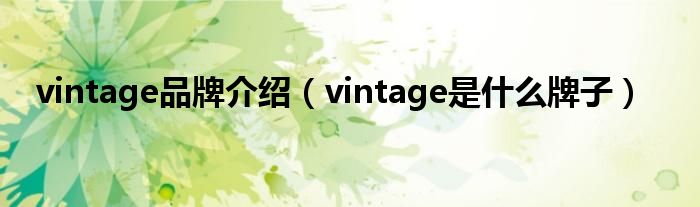 vintage品牌介紹（vintage是什么牌子）
