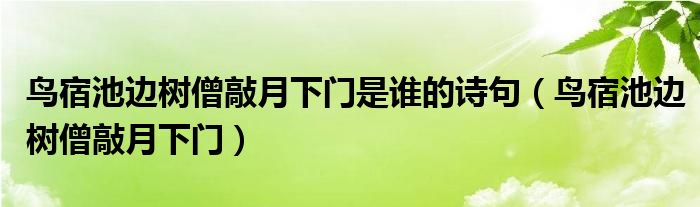鳥宿池邊樹僧敲月下門是誰的詩句（鳥宿池邊樹僧敲月下門）