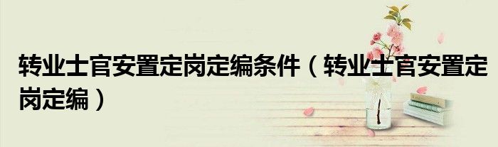轉(zhuǎn)業(yè)士官安置定崗定編條件（轉(zhuǎn)業(yè)士官安置定崗定編）