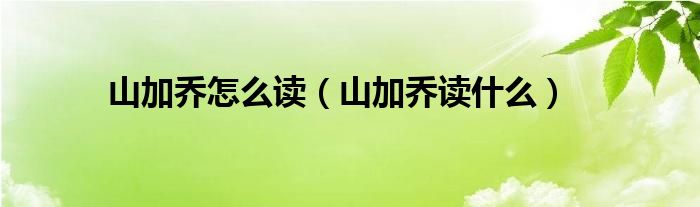 山加喬怎么讀（山加喬讀什么）