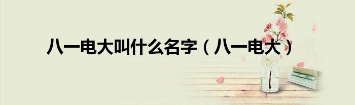 八一電大叫什么名字（八一電大）