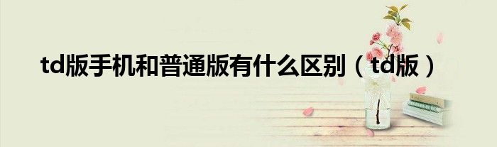 td版手機(jī)和普通版有什么區(qū)別（td版）
