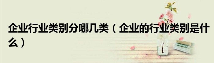 企業(yè)行業(yè)類別分哪幾類（企業(yè)的行業(yè)類別是什么）