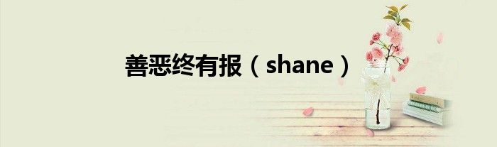 善惡終有報(bào)（shane）