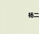 楊二郎是誰（楊二郎）