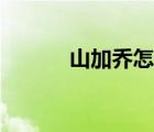 山加喬怎么讀（山加喬讀什么）