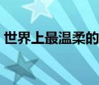 世界上最溫柔的死亡（世界上最溫柔的死法）