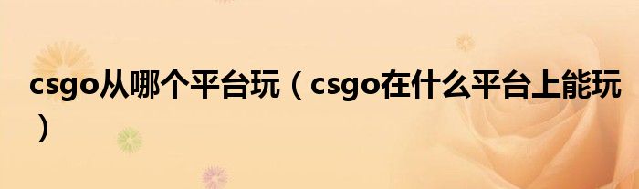 csgo從哪個平臺玩（csgo在什么平臺上能玩）