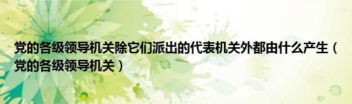 黨的各級領導機關除它們派出的代表機關外都由什么產(chǎn)生（黨的各級領導機關）