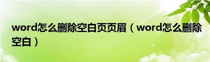 word怎么刪除空白頁頁眉（word怎么刪除空白）