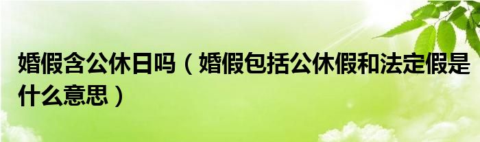 婚假含公休日嗎（婚假包括公休假和法定假是什么意思）