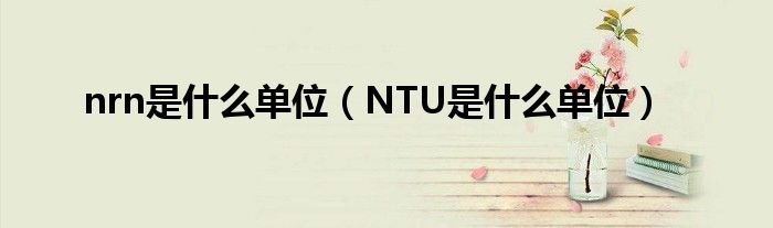 nrn是什么單位（NTU是什么單位）