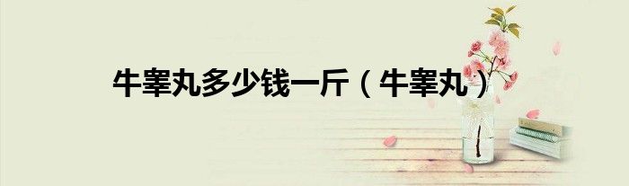 牛睪丸多少錢(qián)一斤（牛睪丸）