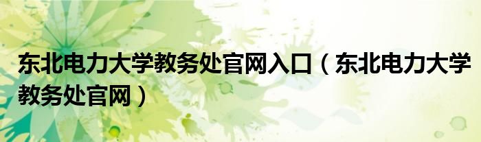 東北電力大學(xué)教務(wù)處官網(wǎng)入口（東北電力大學(xué)教務(wù)處官網(wǎng)）