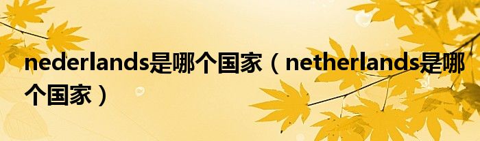 nederlands是哪個(gè)國家（netherlands是哪個(gè)國家）