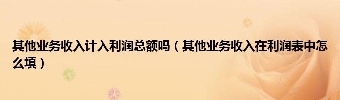 其他業(yè)務(wù)收入計(jì)入利潤總額嗎（其他業(yè)務(wù)收入在利潤表中怎么填）