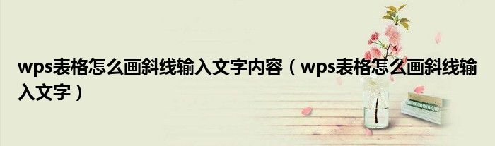 wps表格怎么畫斜線輸入文字內(nèi)容（wps表格怎么畫斜線輸入文字）