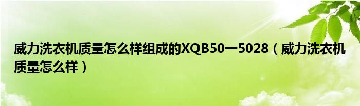 威力洗衣機(jī)質(zhì)量怎么樣組成的XQB50一5028（威力洗衣機(jī)質(zhì)量怎么樣）