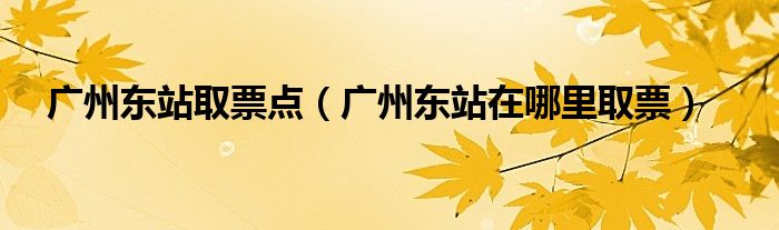 廣州東站取票點（廣州東站在哪里取票）