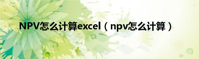 NPV怎么計(jì)算excel（npv怎么計(jì)算）