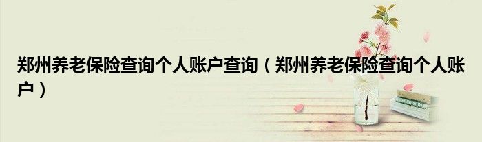 鄭州養(yǎng)老保險查詢個人賬戶查詢（鄭州養(yǎng)老保險查詢個人賬戶）