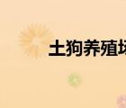 土狗養(yǎng)殖場建設圖（土狗養(yǎng)殖場）