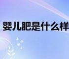 嬰兒肥是什么樣的女孩（嬰兒肥是什么樣的）