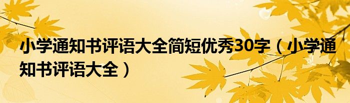 小學(xué)通知書評(píng)語(yǔ)大全簡(jiǎn)短優(yōu)秀30字（小學(xué)通知書評(píng)語(yǔ)大全）