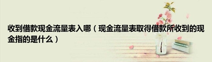收到借款現(xiàn)金流量表入哪（現(xiàn)金流量表取得借款所收到的現(xiàn)金指的是什么）