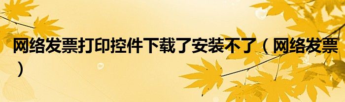 網(wǎng)絡(luò)發(fā)票打印控件下載了安裝不了（網(wǎng)絡(luò)發(fā)票）