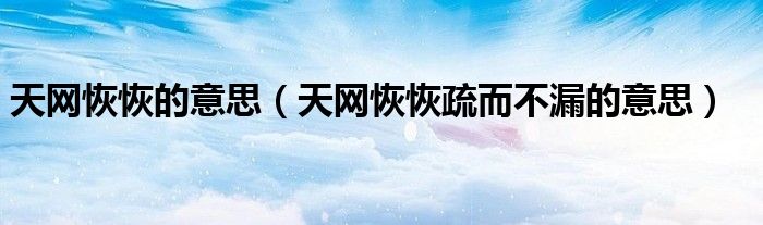 天網(wǎng)恢恢的意思（天網(wǎng)恢恢疏而不漏的意思）