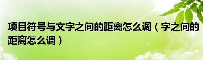 項(xiàng)目符號(hào)與文字之間的距離怎么調(diào)（字之間的距離怎么調(diào)）