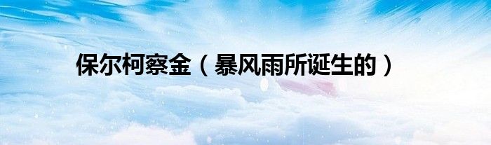 保爾柯察金（暴風雨所誕生的）