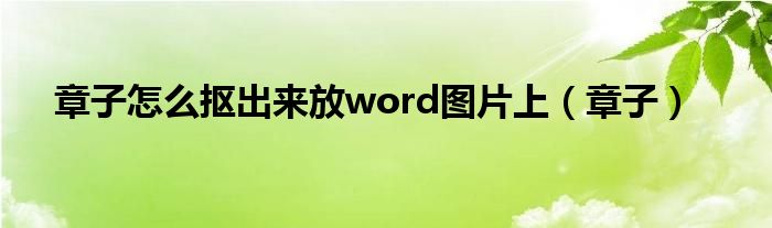 章子怎么摳出來放word圖片上（章子）