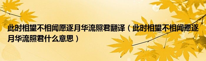 此時相望不相聞愿逐月華流照君翻譯（此時相望不相聞愿逐月華流照君什么意思）