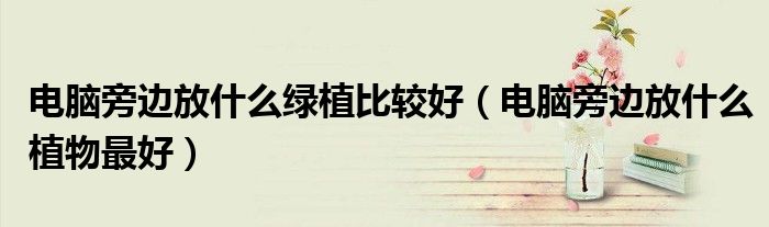 電腦旁邊放什么綠植比較好（電腦旁邊放什么植物最好）